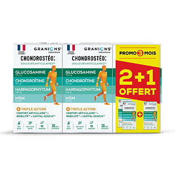 Lot de 3 chondrostéo 90 comprimés