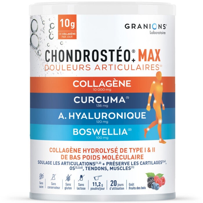 GRANIONS - Chondrostéo+ Max 
