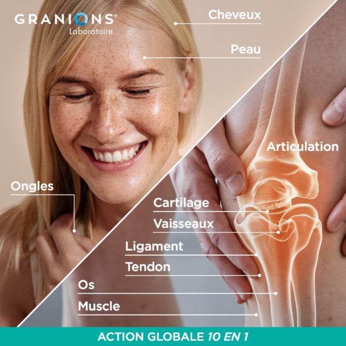 Collagène+ Multi type I, II, III, V, X - Poudre | Granions