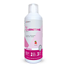 l carnitine avant de dormir Acetyl L-Carnitine HCL & Alpha Lipoic Acid 1200mg per serving main image 0