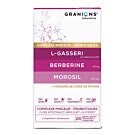Complexe Microbiote Minceur LGasseri Berberine Morosil — Granions