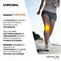 Curcuma thumbnail
