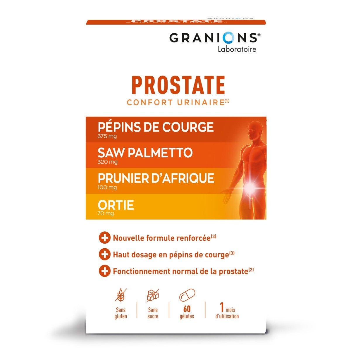 Prostate