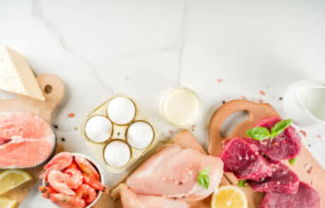 Sources de prot&eacute;ines