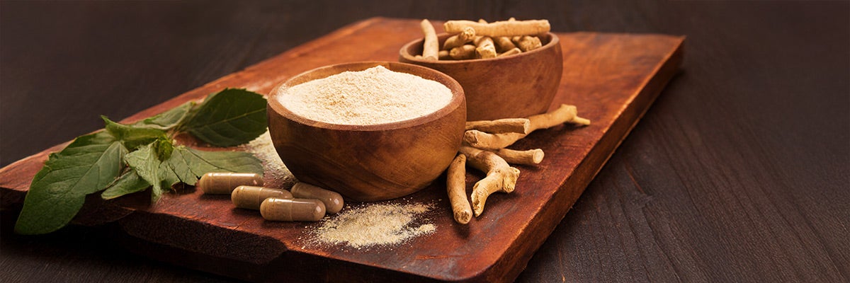 Ashwagandha : Tout savoir sur la plante adaptogène reine de l'Ayurveda