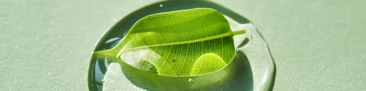 Consultation m&eacute;decin pour une fiv