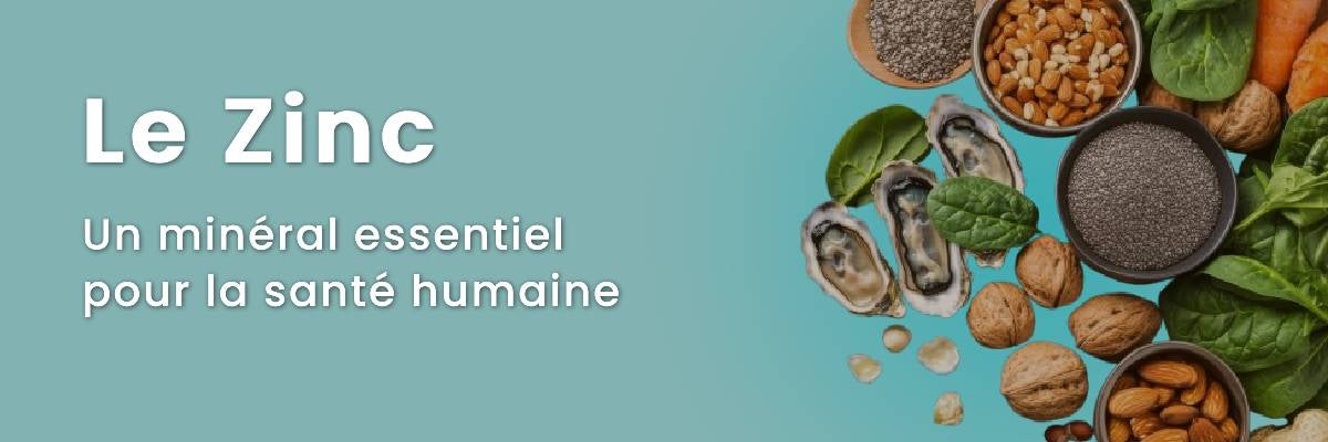 Le Zinc : un minéral essentiel pour la santé humaine