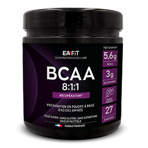 EAFIT BCAA 8:1:1 saveur past&egrave;que