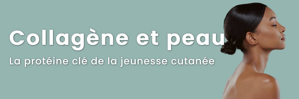 Collagène et peau : la protéine clé de la jeunesse cutanée