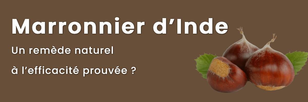 Marronnier d’Inde : un remède naturel à l’efficacité prouvée ?