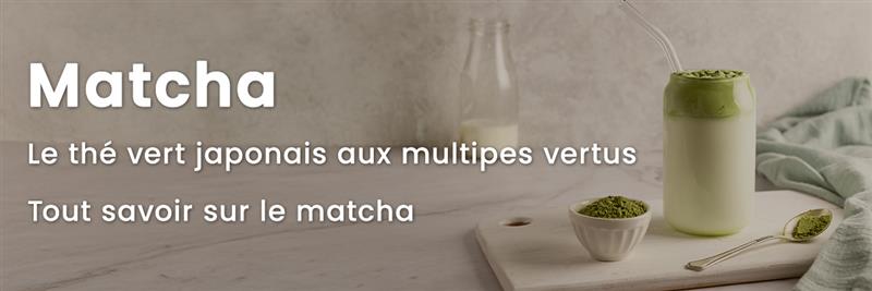 Matcha : le thé vert japonais aux multiples vertus