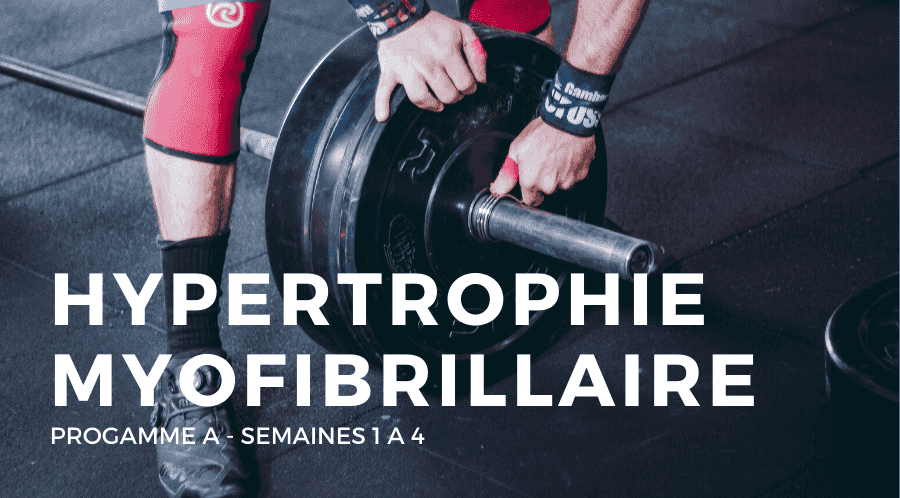 Programme A : Hypertrophie Myofibrillaire