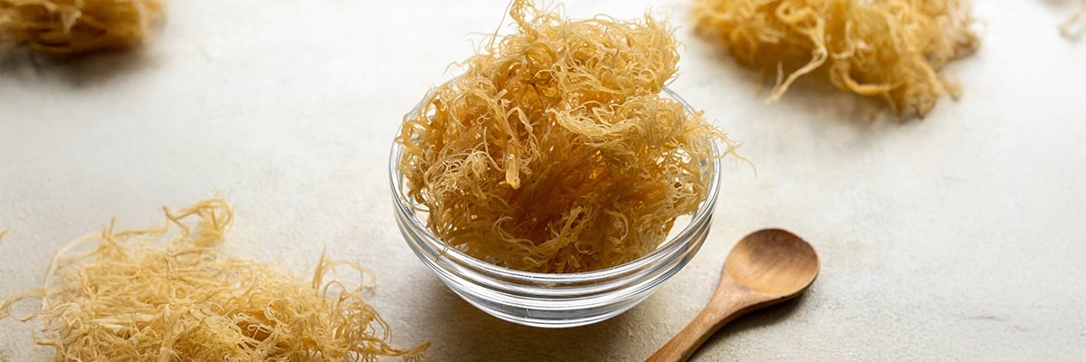 Les Bienfaits du Sea Moss : Le Super-Aliment Marin au Service de Votre Bien-Être