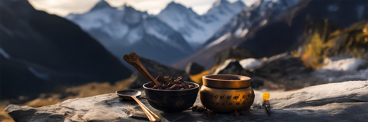 Le Shilajit en pharmacie : que disent vraiment les experts et la science ?