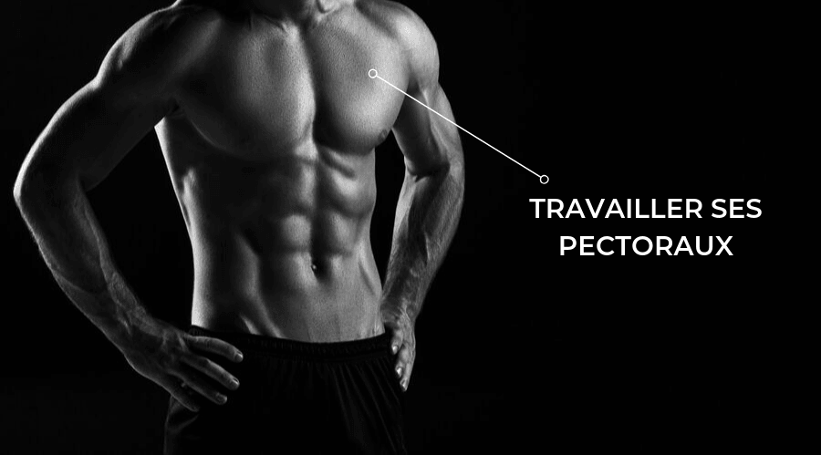 Exercices pectoraux