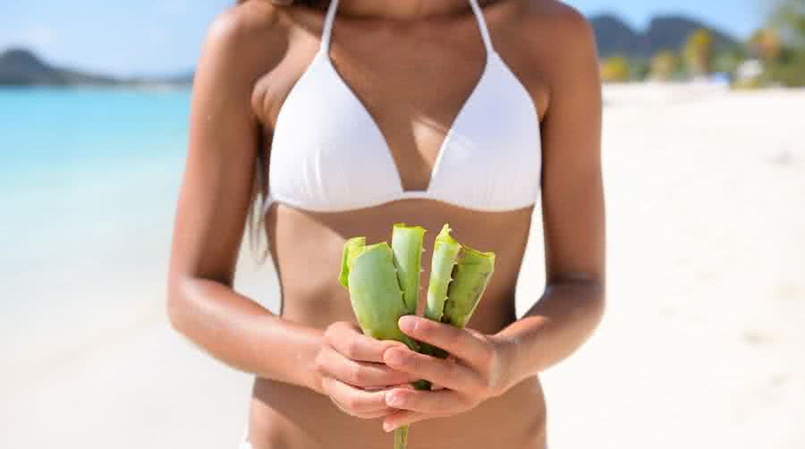 L’aloe vera, une aide à la digestion