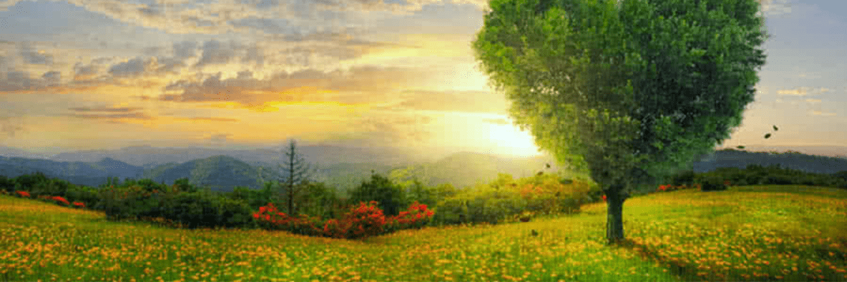 Comment prévenir les maladies cardiovasculaires ?