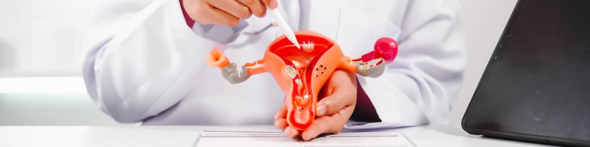 sympt&ocirc;mes douleurs au genou