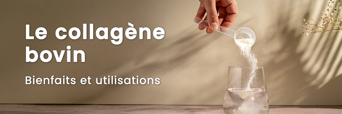 Le collagène bovin : origine, bienfaits et utilisations