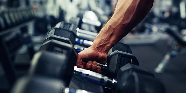 Fondamentaux pour construire du muscle