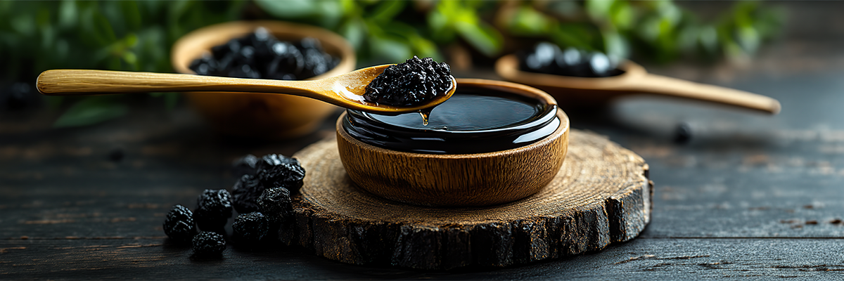 Acide Fulvique : tout savoir sur le principe actif puissant du Shilajit 