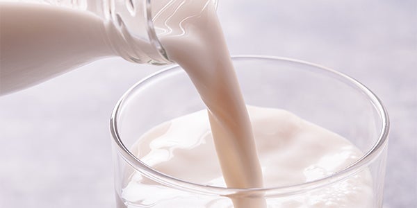 Lactose contenu dans les produits laitiers