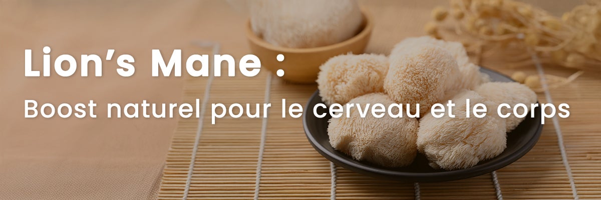 Lion’s Mane : Cognition et performance sportive naturelle