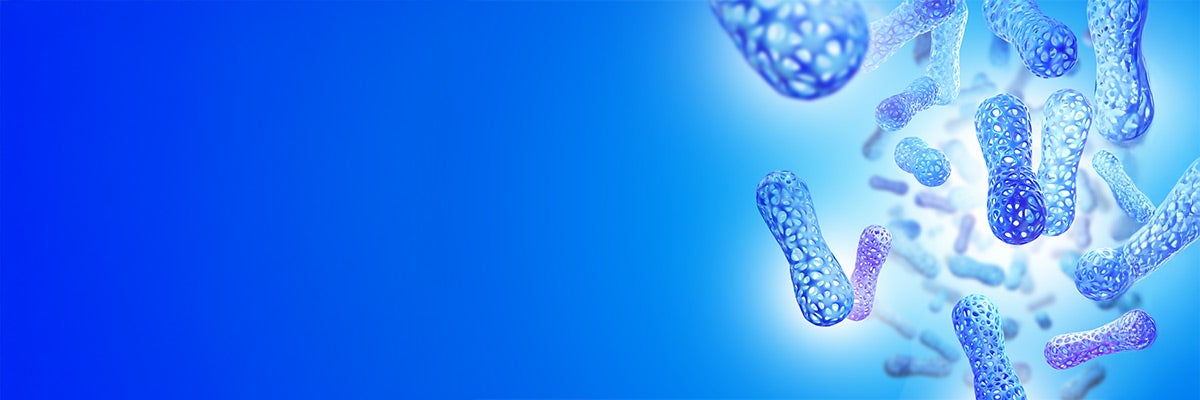 microbiote intestinal