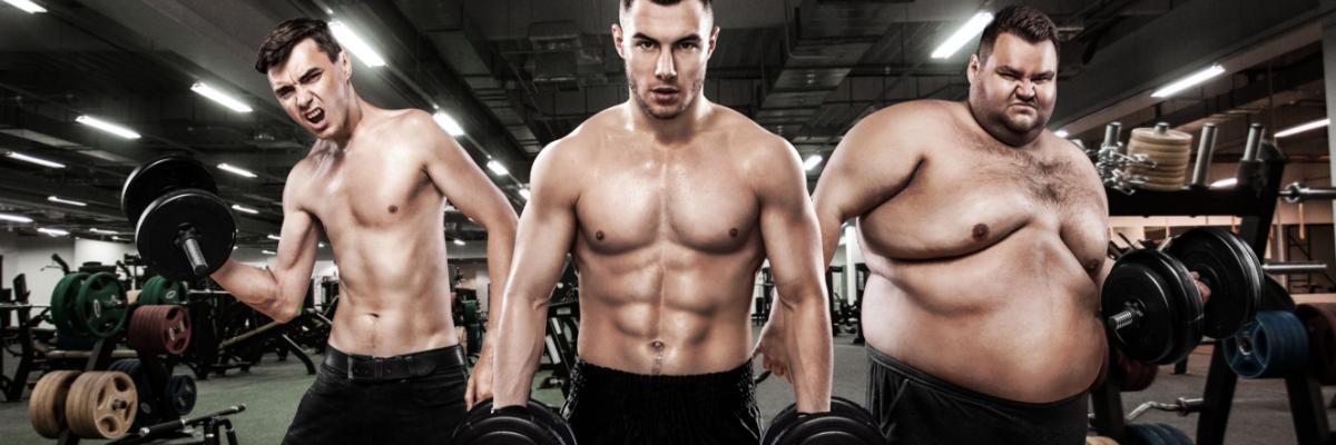 Êtes-vous ectomorphe, mésomorphe ou endomorphe ?