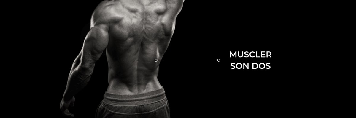 Top 3 des exercices pour muscler le dos