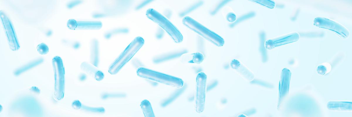 Probiotiques : bienfaits sur la flore intestinale