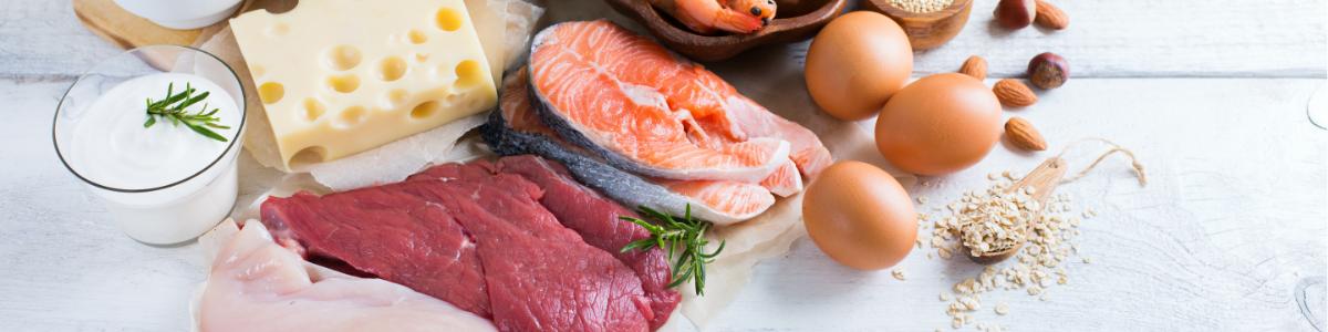 Prot&eacute;ines prise de masse