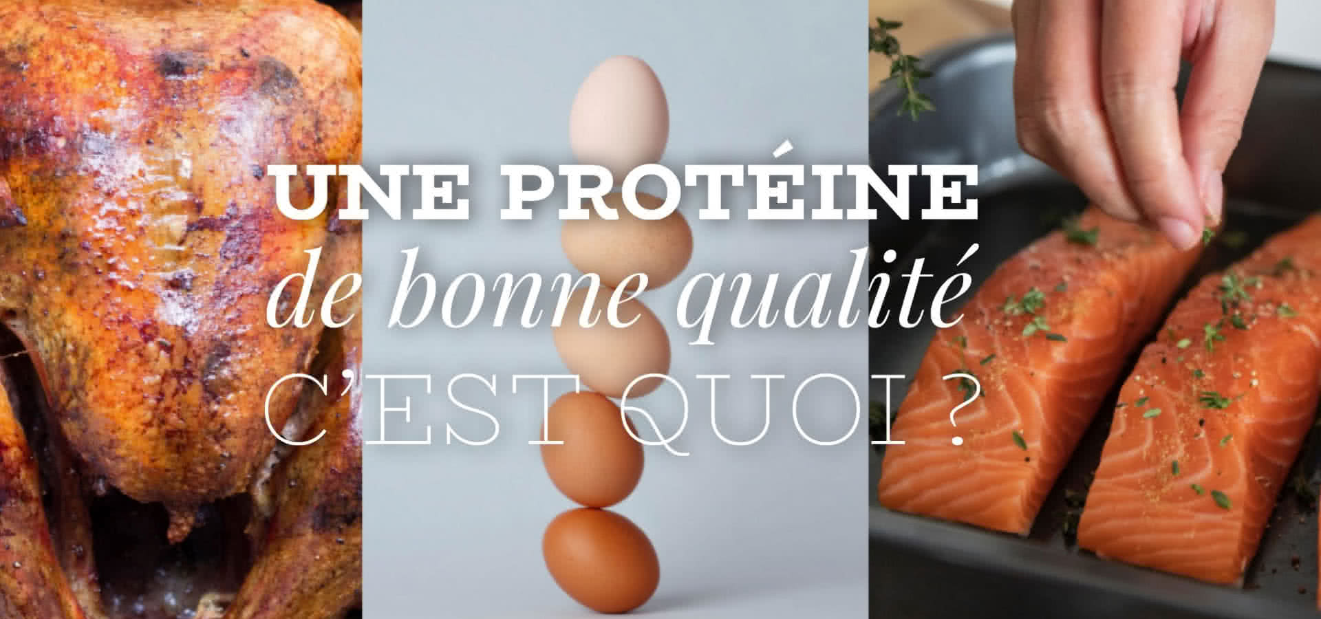 Une protéine de bonne qualité, c&rsquo;est quoi ?