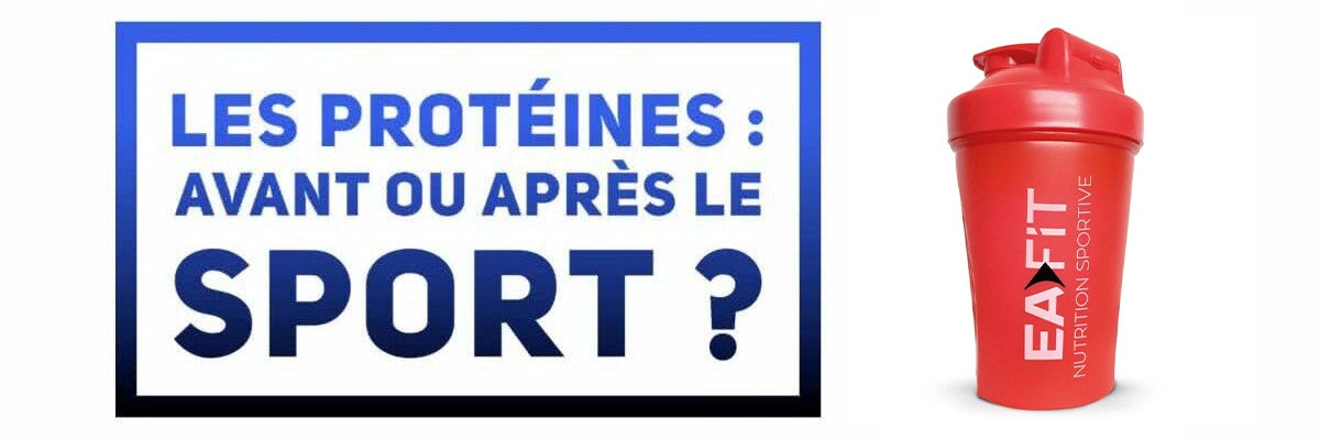 Les protéines : avant ou après l’effort ?
