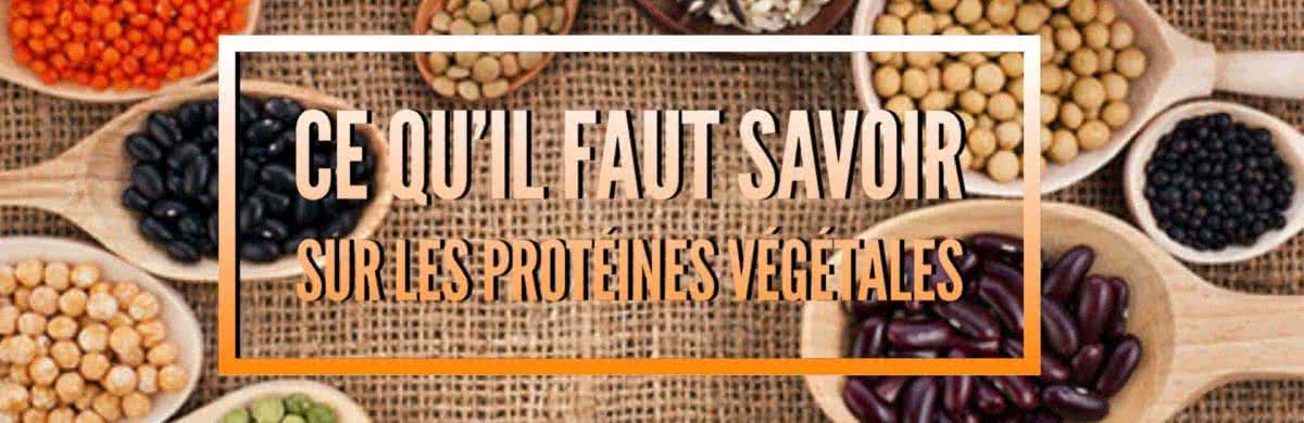 Ce qu’il faut savoir sur les protéines végétales