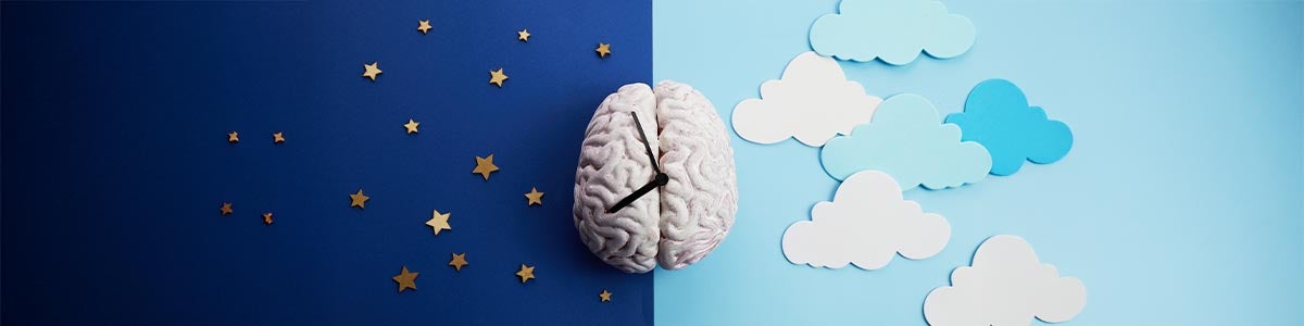 R&ocirc;le physiologique de cette hormone du sommeil