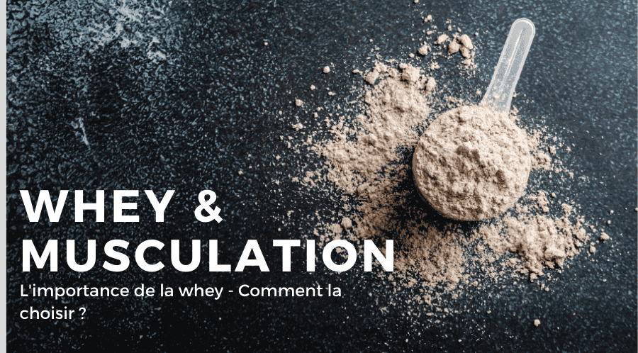 Whey et musculation