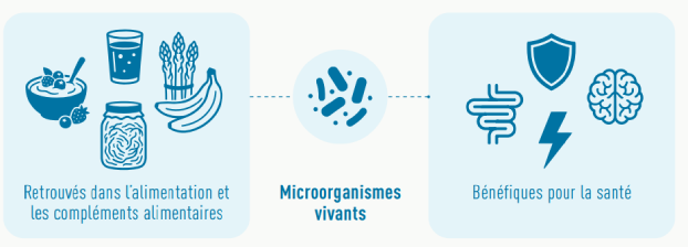 Microorganismes vivants